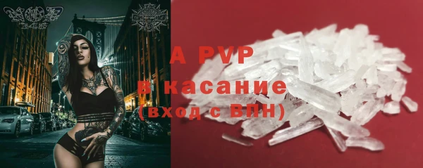 стаф Тында