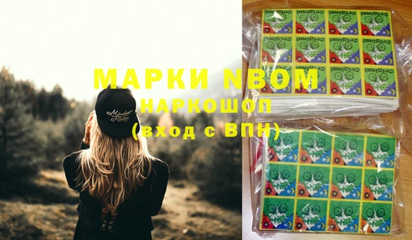 стаф Тында