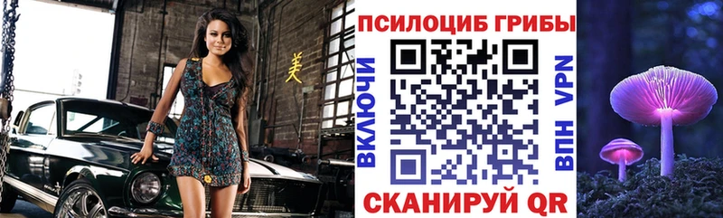 Галлюциногенные грибы Psilocybe  Шиханы 