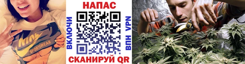 Конопля VHQ  блэк спрут зеркало  Шиханы 